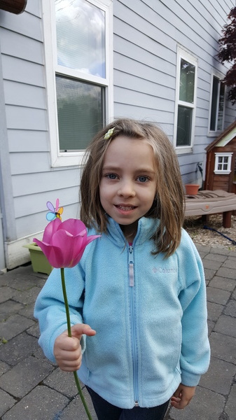 Tulip