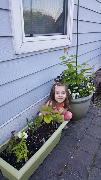 Vivian's Garden