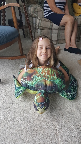 Big Turtle