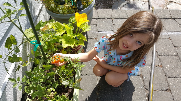 Vivian's Tomatoes