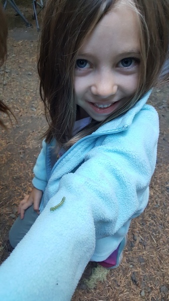 Inch Worm