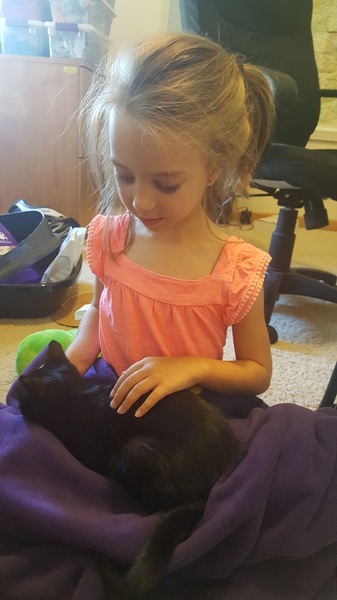 New Kitten