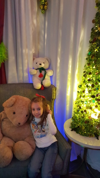 Teddy Bear Suite
