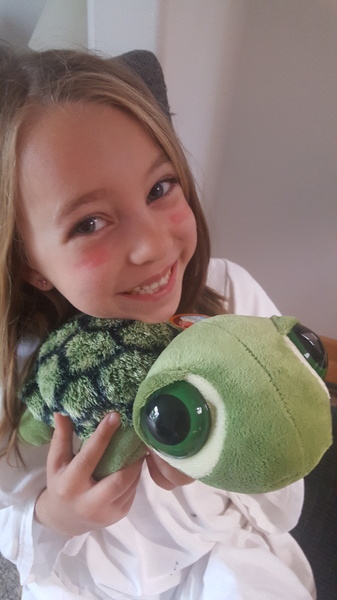 New Turtle