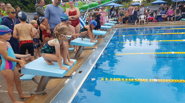 Ready to Race