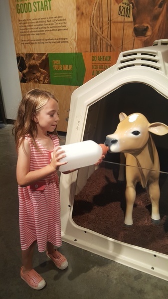 Tillamook