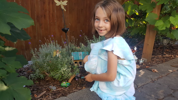Fairy Garden
