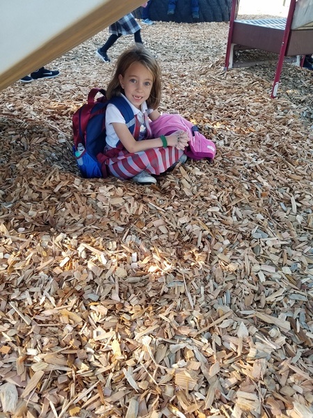 School Playground