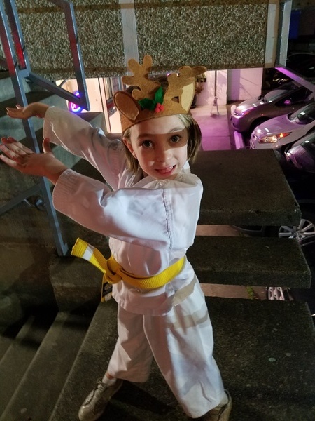 Karate Reindeer