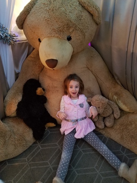 Teddy Bear Suite