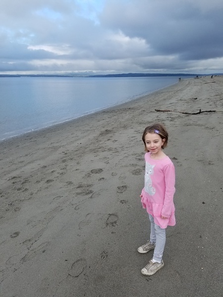 Golden Gardens Beach