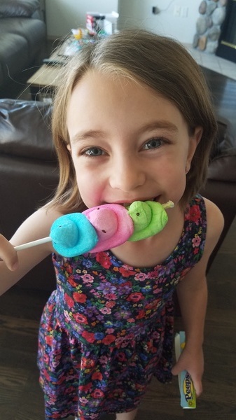 Peeps on a Stick