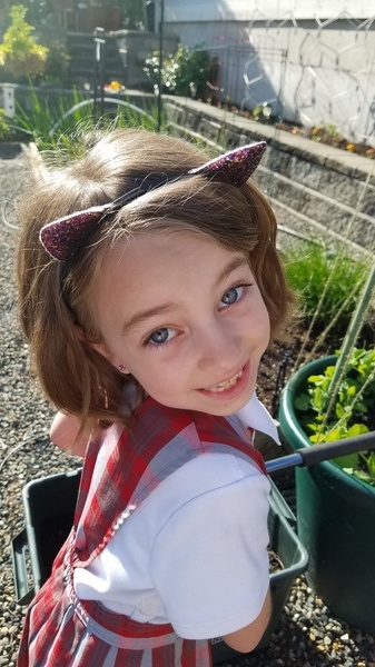 Watering the Garden