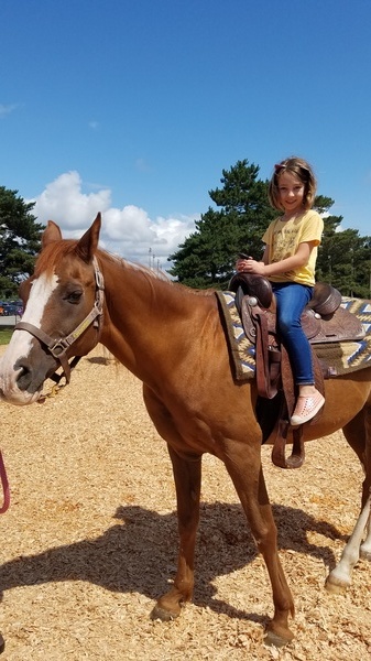 Horse Ride at the King County Fair