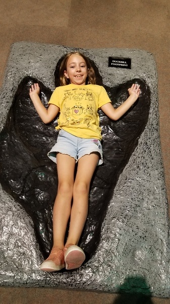 Dinosaur Footprint