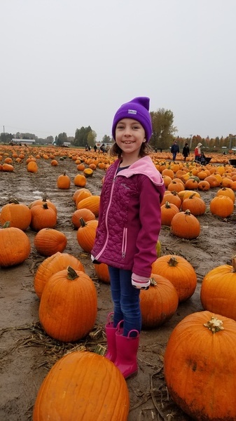 Pumpkin Patch
