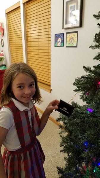 Hanging Ornaments