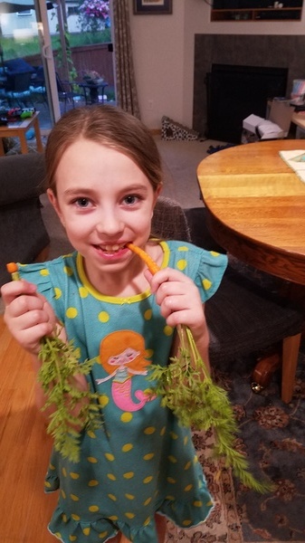 Fresh Carrots