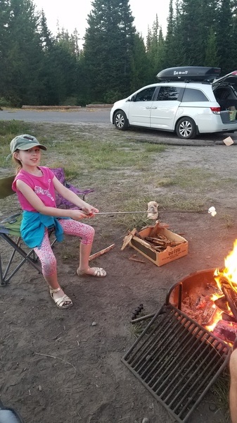 Roasting a  Marshmallow