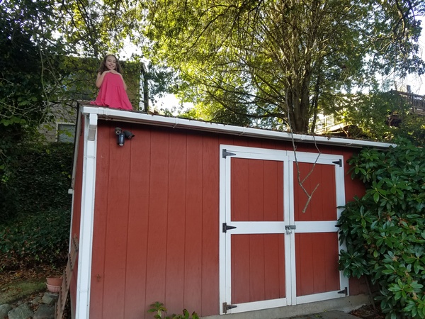 Gradma's Shed