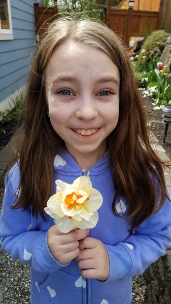 Daffodil