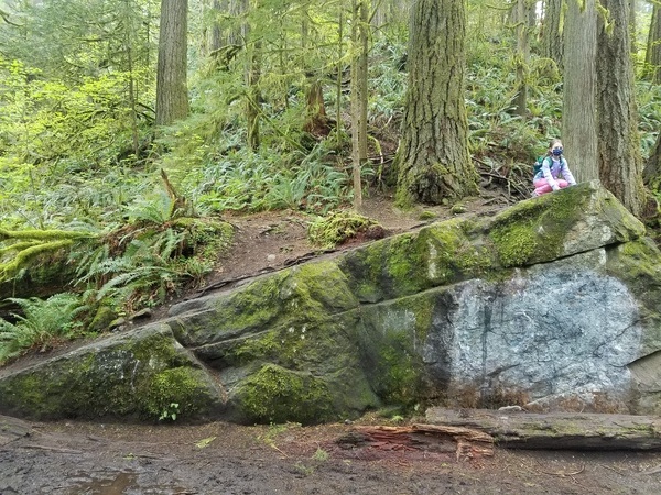 Big Rock