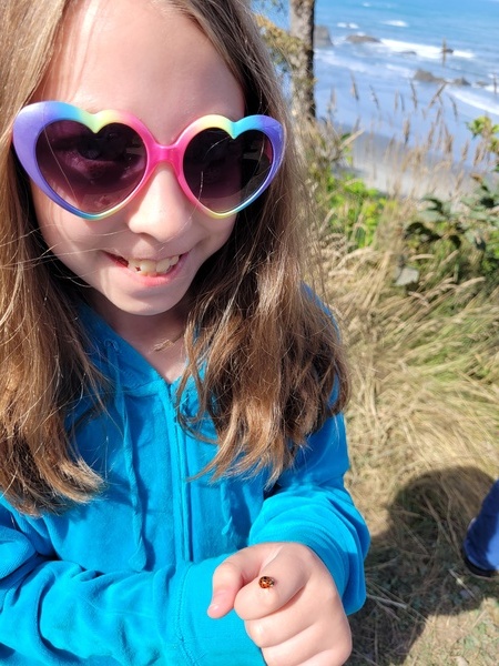Beach Bug
