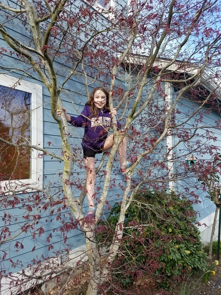 Vivian's Tree