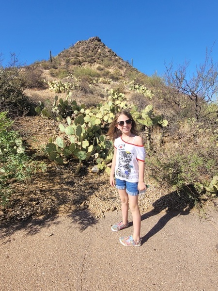 Saguaro National Park