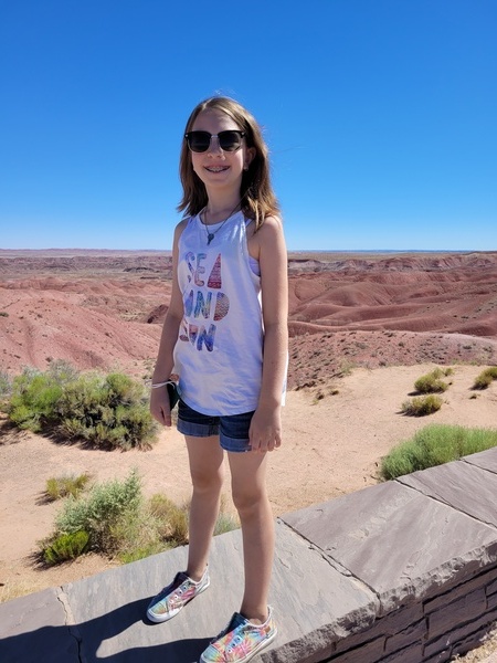 Petrified Forest National Park