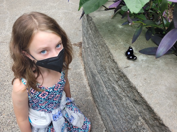 Science Center Butterfly